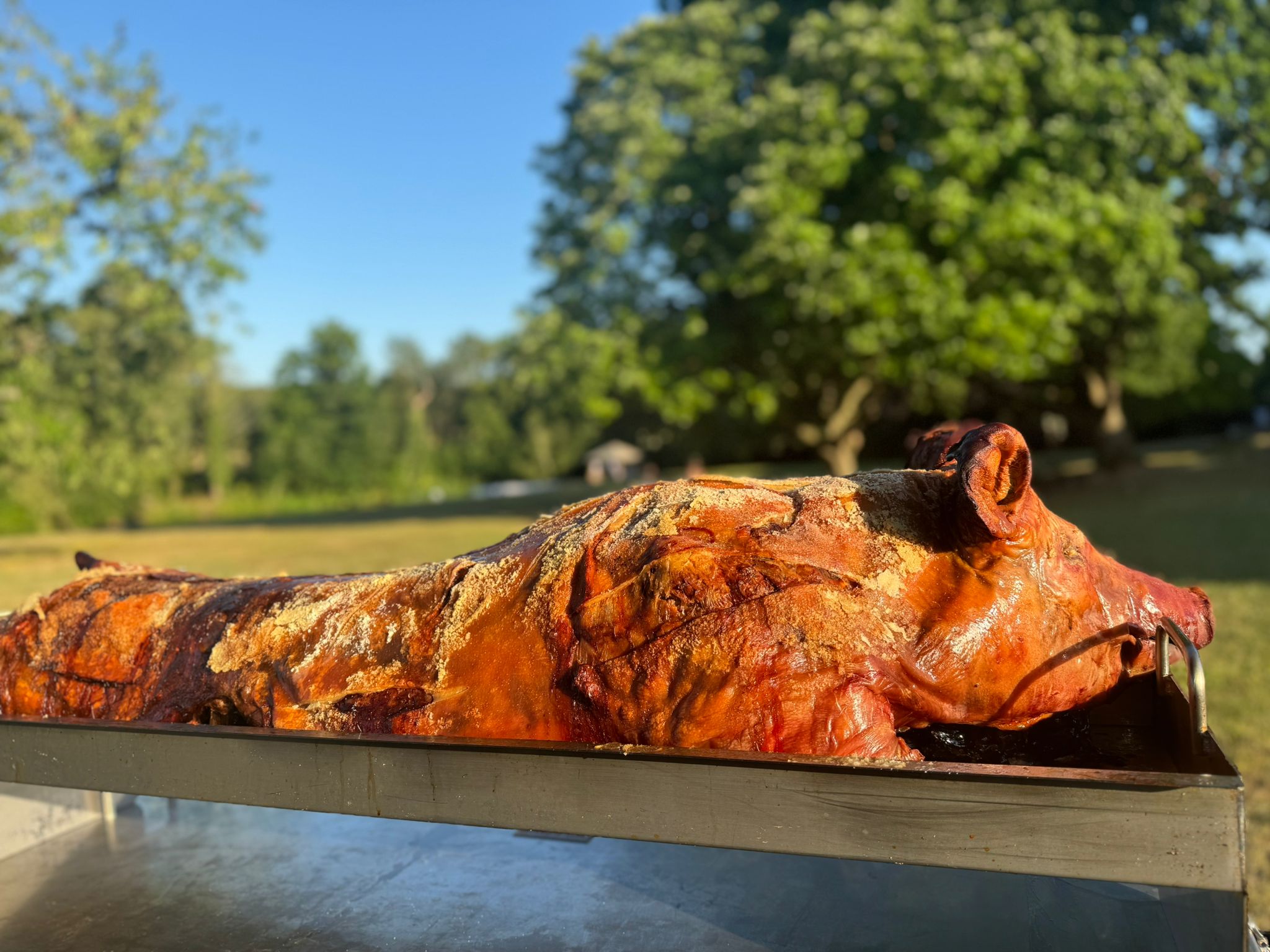 Hog Roast Colchester